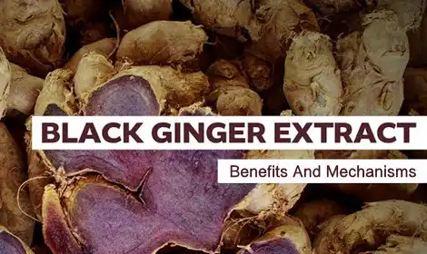 What Does Black Ginger Extract Powder Do? Benefits And Mechanisms